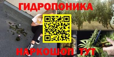 мяу мяу мука Беслан