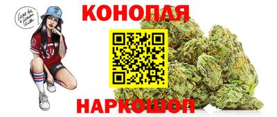 мяу мяу мука Беслан