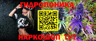 соль ск Бийск