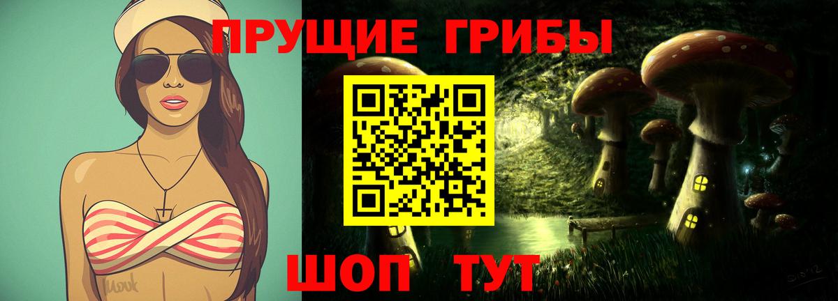 что такое наркотик  Вход с VPN  Ковров  Галлюциногенные грибы Psilocybe 